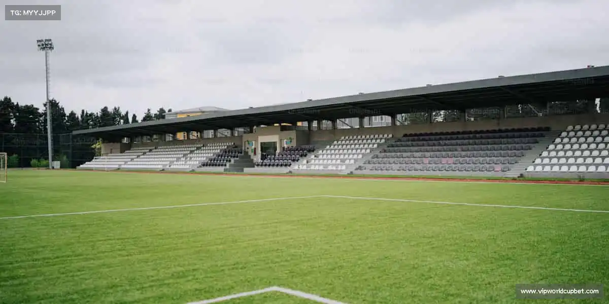 为什么选择我们